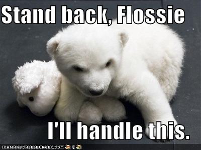 image: funny-pictures-polar-bear-protects-stuffed-bear